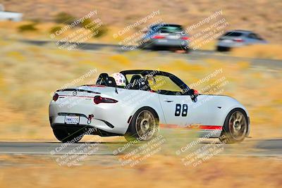 media/Nov-16-2024-Extreme Speed (Sat) [[6587d07cc4]]/Gold Group/Session 2 (Turns 3 and 5)/